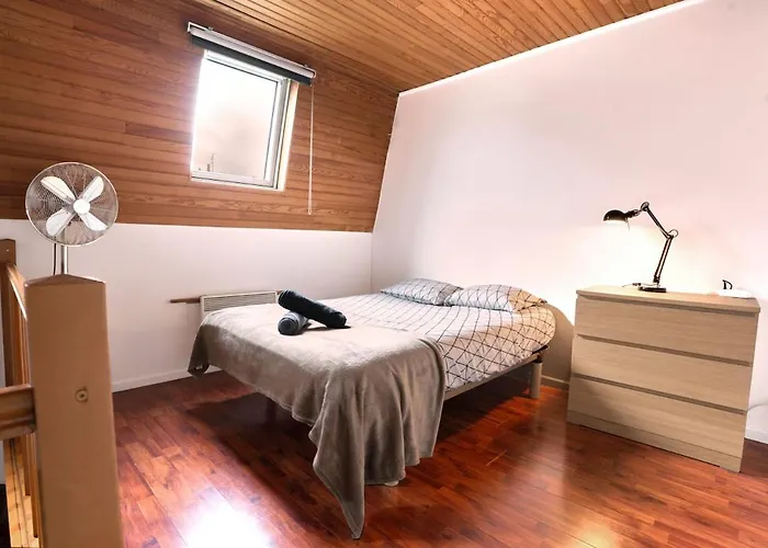 Maison, Proche De Lille Et Grand Stade Olympique Lezennes